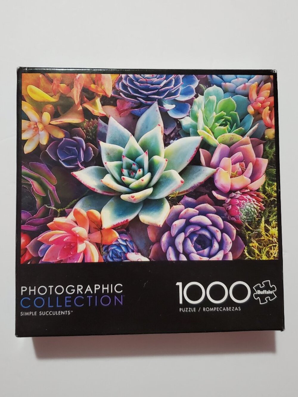 Photographic Collection Simple Succulents Puzzle